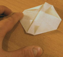 Die oberen beiden Ecken genauso gedrittelt einfalten / Fold the upper two corners at about 1/3 each as well.