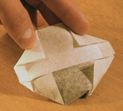 Die oberen beiden Ecken genauso gedrittelt einfalten / Fold the upper two corners at about 1/3 each as well.